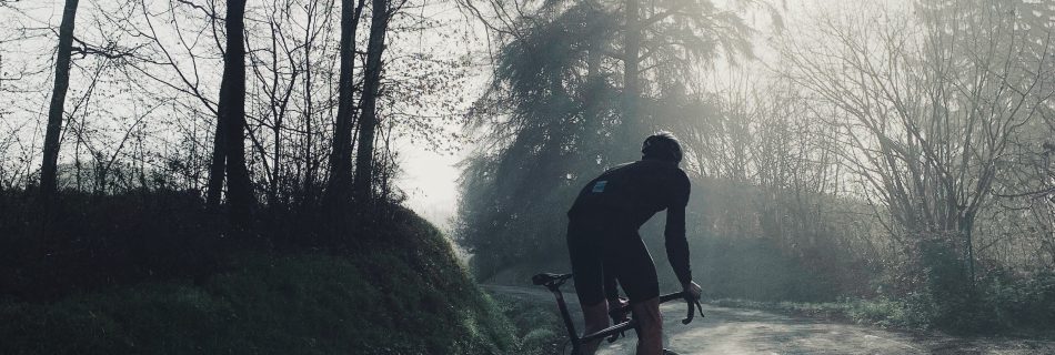 Stage "Training"